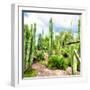 ¡Viva Mexico! Square Collection - Cardon Cactus V-Philippe Hugonnard-Framed Photographic Print