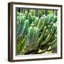 ¡Viva Mexico! Square Collection - Cardon Cactus VI-Philippe Hugonnard-Framed Photographic Print