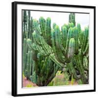 ¡Viva Mexico! Square Collection - Cardon Cactus VII-Philippe Hugonnard-Framed Photographic Print