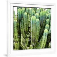 ?Viva Mexico! Square Collection - Cardon Cactus VIII-Philippe Hugonnard-Framed Photographic Print