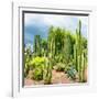 ¡Viva Mexico! Square Collection - Cardon Cactus-Philippe Hugonnard-Framed Photographic Print