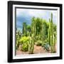 ¡Viva Mexico! Square Collection - Cardon Cactus-Philippe Hugonnard-Framed Photographic Print