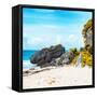 ¡Viva Mexico! Square Collection - Caribbean Coastline in Tulum II-Philippe Hugonnard-Framed Stretched Canvas