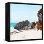 ¡Viva Mexico! Square Collection - Caribbean Coastline in Tulum III-Philippe Hugonnard-Framed Stretched Canvas