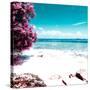 ¡Viva Mexico! Square Collection - Coastline Paradise in Isla Mujeres I-Philippe Hugonnard-Stretched Canvas