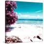 ¡Viva Mexico! Square Collection - Coastline Paradise in Isla Mujeres I-Philippe Hugonnard-Stretched Canvas