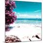 ¡Viva Mexico! Square Collection - Coastline Paradise in Isla Mujeres I-Philippe Hugonnard-Mounted Photographic Print