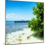 ¡Viva Mexico! Square Collection - Coastline Paradise in Isla Mujeres II-Philippe Hugonnard-Mounted Photographic Print