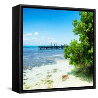 ¡Viva Mexico! Square Collection - Coastline Paradise in Isla Mujeres II-Philippe Hugonnard-Framed Stretched Canvas