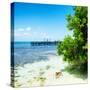 ¡Viva Mexico! Square Collection - Coastline Paradise in Isla Mujeres II-Philippe Hugonnard-Stretched Canvas