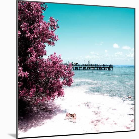 ¡Viva Mexico! Square Collection - Coastline Paradise in Isla Mujeres III-Philippe Hugonnard-Mounted Photographic Print