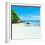 ¡Viva Mexico! Square Collection - Coastline Paradise in Isla Mujeres IV-Philippe Hugonnard-Framed Photographic Print