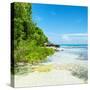 ¡Viva Mexico! Square Collection - Coastline Paradise in Isla Mujeres VI-Philippe Hugonnard-Stretched Canvas