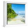 ¡Viva Mexico! Square Collection - Coastline Paradise in Isla Mujeres VI-Philippe Hugonnard-Framed Photographic Print