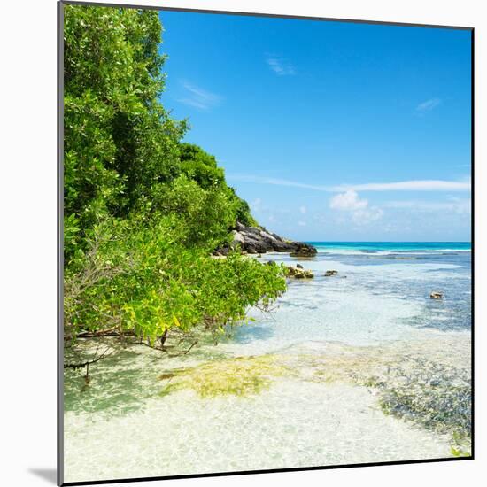 ¡Viva Mexico! Square Collection - Coastline Paradise in Isla Mujeres VI-Philippe Hugonnard-Mounted Photographic Print