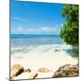 ¡Viva Mexico! Square Collection - Coastline Paradise in Isla Mujeres-Philippe Hugonnard-Mounted Photographic Print