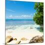 ¡Viva Mexico! Square Collection - Coastline Paradise in Isla Mujeres-Philippe Hugonnard-Mounted Photographic Print