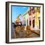 ¡Viva Mexico! Square Collection - Coloful Street in Campeche-Philippe Hugonnard-Framed Photographic Print