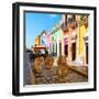 ¡Viva Mexico! Square Collection - Coloful Street in Campeche-Philippe Hugonnard-Framed Photographic Print