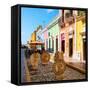 ¡Viva Mexico! Square Collection - Coloful Street in Campeche-Philippe Hugonnard-Framed Stretched Canvas