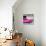 ¡Viva Mexico! Square Collection - Deep Pink VW Beetle Car & Peace Symbol-Philippe Hugonnard-Stretched Canvas displayed on a wall
