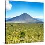 ¡Viva Mexico! Square Collection - Desert Landscape-Philippe Hugonnard-Stretched Canvas