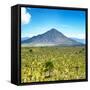 ¡Viva Mexico! Square Collection - Desert Landscape-Philippe Hugonnard-Framed Stretched Canvas