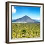 ¡Viva Mexico! Square Collection - Desert Landscape-Philippe Hugonnard-Framed Photographic Print