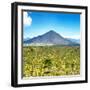 ¡Viva Mexico! Square Collection - Desert Landscape-Philippe Hugonnard-Framed Photographic Print