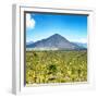 ¡Viva Mexico! Square Collection - Desert Landscape-Philippe Hugonnard-Framed Photographic Print