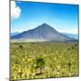 ¡Viva Mexico! Square Collection - Desert Landscape-Philippe Hugonnard-Mounted Photographic Print