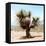 ¡Viva Mexico! Square Collection - Desert Palm Tree II-Philippe Hugonnard-Framed Stretched Canvas