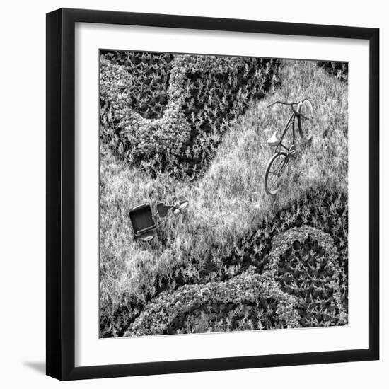 ¡Viva Mexico! Square Collection - Earth from above II-Philippe Hugonnard-Framed Photographic Print