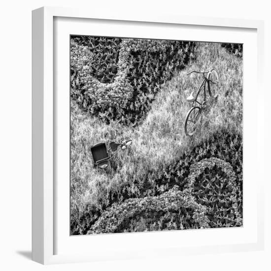 ¡Viva Mexico! Square Collection - Earth from above II-Philippe Hugonnard-Framed Photographic Print