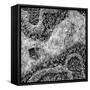 ¡Viva Mexico! Square Collection - Earth from above II-Philippe Hugonnard-Framed Stretched Canvas