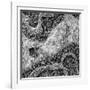 ¡Viva Mexico! Square Collection - Earth from above II-Philippe Hugonnard-Framed Photographic Print