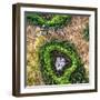 ¡Viva Mexico! Square Collection - Earth from above III-Philippe Hugonnard-Framed Photographic Print