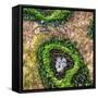 ¡Viva Mexico! Square Collection - Earth from above III-Philippe Hugonnard-Framed Stretched Canvas