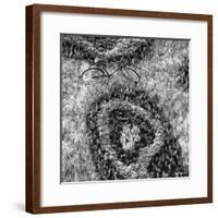 ¡Viva Mexico! Square Collection - Earth from above IV-Philippe Hugonnard-Framed Photographic Print