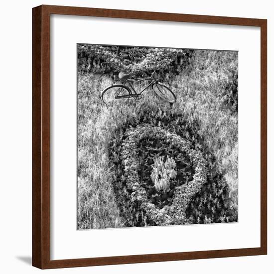 ¡Viva Mexico! Square Collection - Earth from above IV-Philippe Hugonnard-Framed Photographic Print