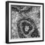 ¡Viva Mexico! Square Collection - Earth from above IV-Philippe Hugonnard-Framed Photographic Print