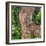 ¡Viva Mexico! Square Collection - Earth from above V-Philippe Hugonnard-Framed Photographic Print