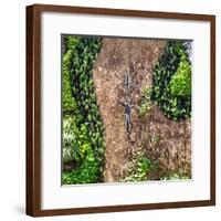 ¡Viva Mexico! Square Collection - Earth from above V-Philippe Hugonnard-Framed Photographic Print