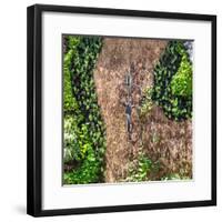 ¡Viva Mexico! Square Collection - Earth from above V-Philippe Hugonnard-Framed Photographic Print