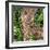 ¡Viva Mexico! Square Collection - Earth from above V-Philippe Hugonnard-Framed Photographic Print