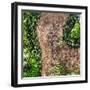¡Viva Mexico! Square Collection - Earth from above V-Philippe Hugonnard-Framed Photographic Print
