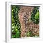 ¡Viva Mexico! Square Collection - Earth from above V-Philippe Hugonnard-Framed Photographic Print