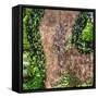 ¡Viva Mexico! Square Collection - Earth from above V-Philippe Hugonnard-Framed Stretched Canvas