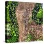 ¡Viva Mexico! Square Collection - Earth from above V-Philippe Hugonnard-Stretched Canvas