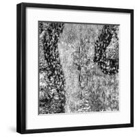 ¡Viva Mexico! Square Collection - Earth from above VI-Philippe Hugonnard-Framed Photographic Print